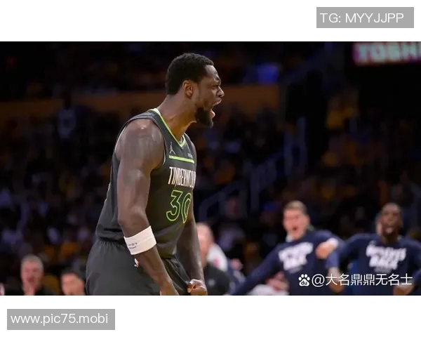 [2026年01月30日]深度解析：朱利叶斯-兰德尔加盟森林狼季前表现数据全览